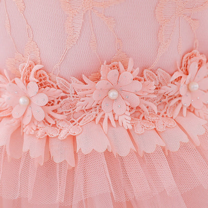 Baby Girl Birthday Dresses Toddler Lace Embroidery Fluffy Formal Princess Dress
