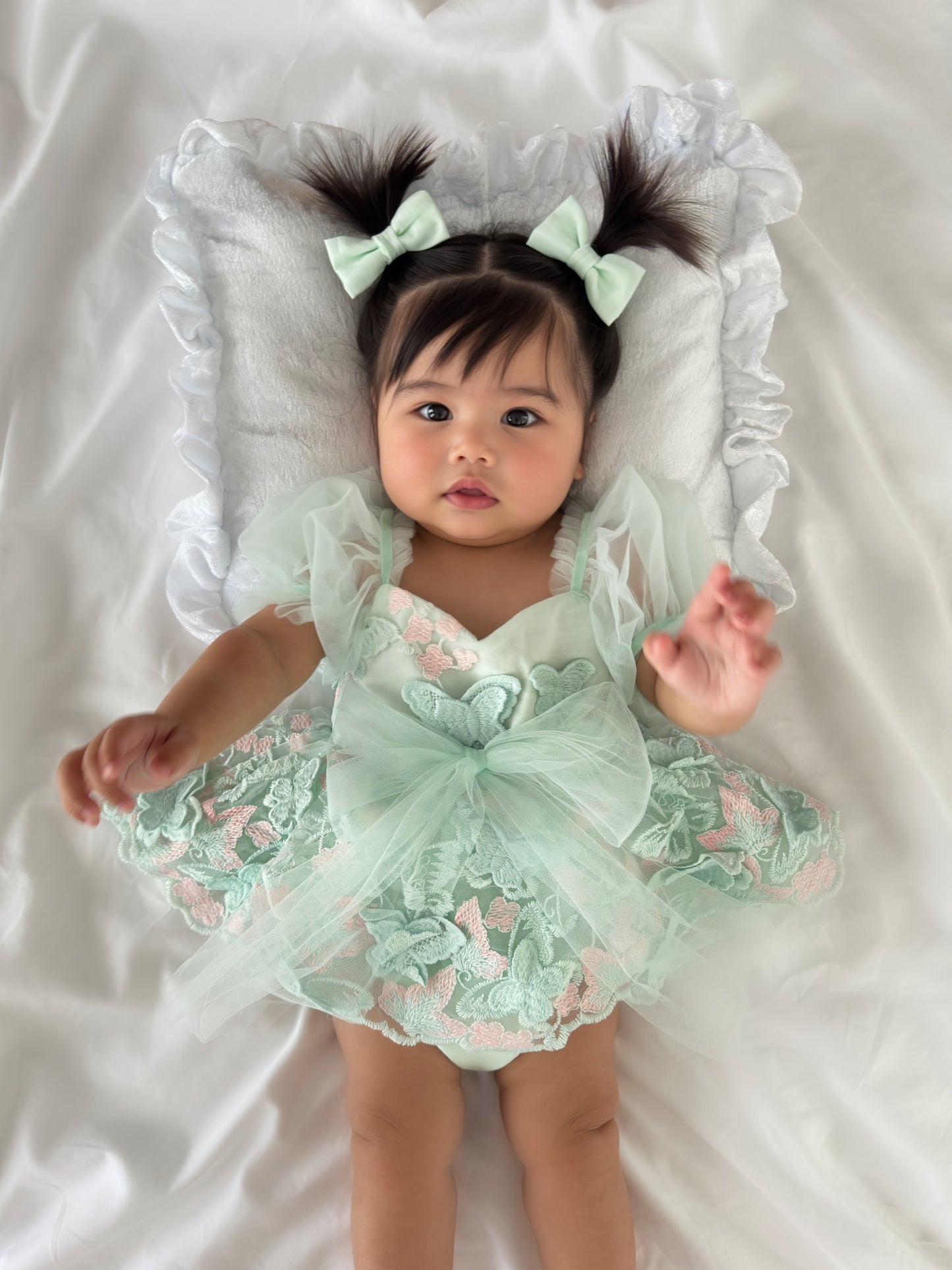 Butterfly Kisses Peppermint Pink Embroidered Baby Girl Tulle Party Romper