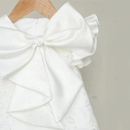Baby Girl Cute Dress Infant Flower Girl Fluffy Princess Dress