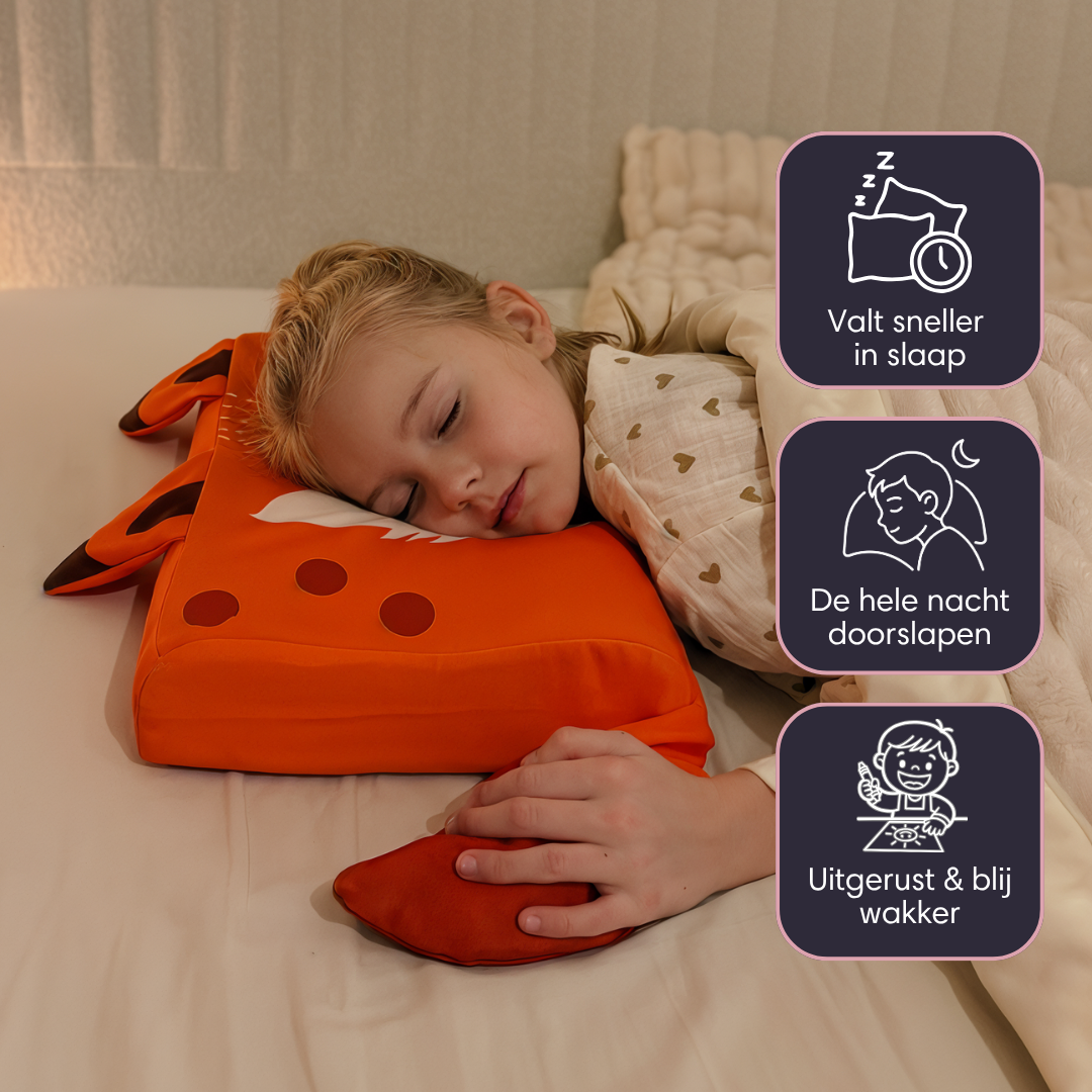 Bombay Calming Children’s Pillow.