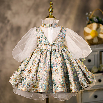 Baby Girl Birthday Party Dress Long Sleeve Flower Girl Dress Princess Dress