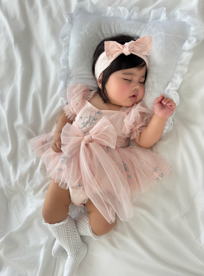 Swan Lake Ballerina Pink Embroidered Baby Girl Tulle Party Romper
