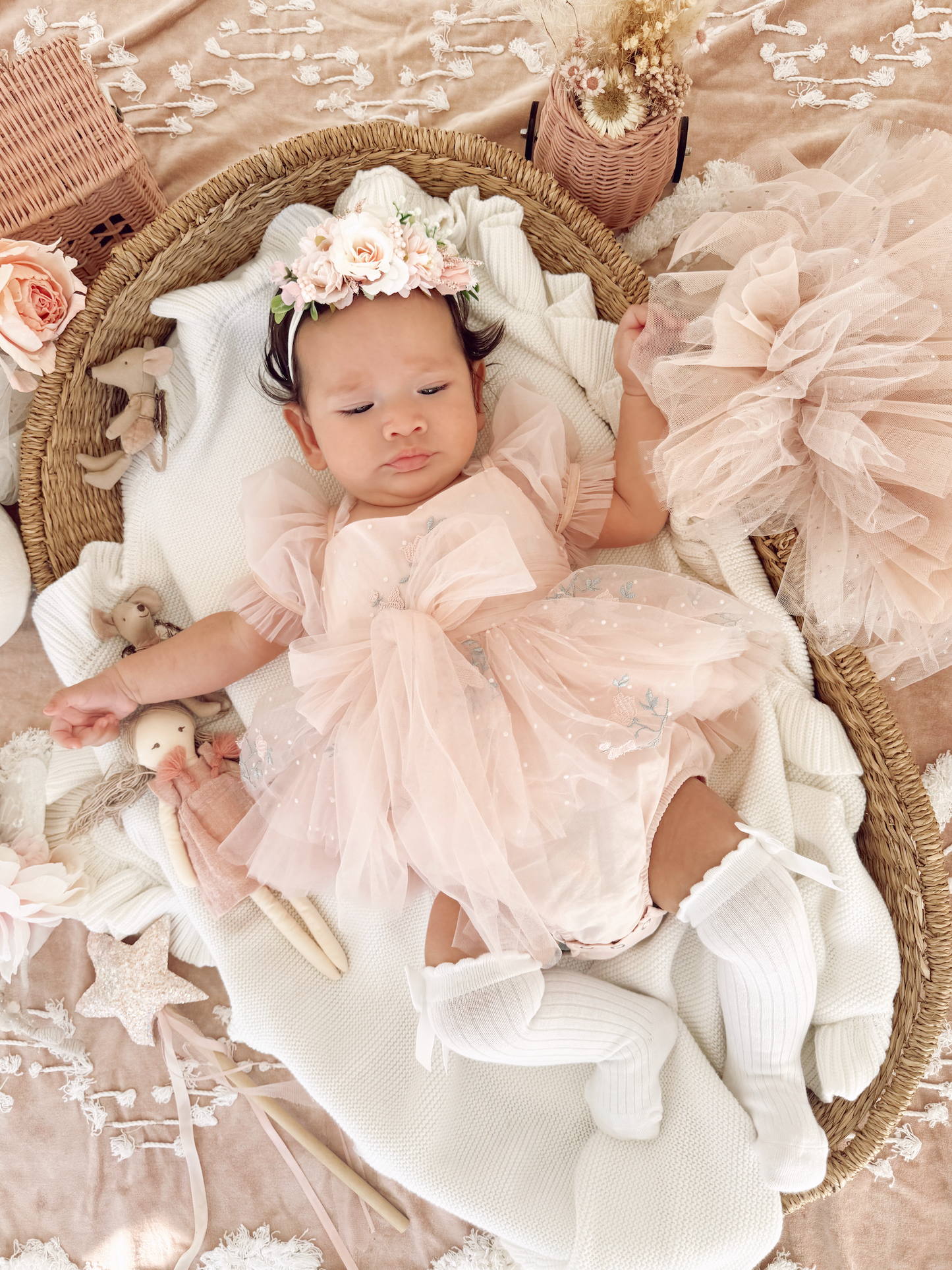 Swan Lake Ballerina Pink Embroidered Baby Girl Tulle Party Romper