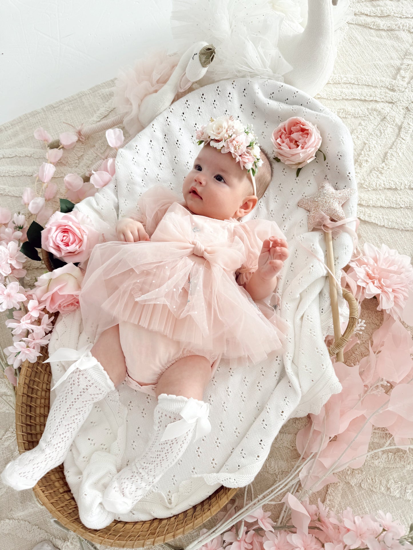 Swan Lake Ballerina Pink Embroidered Baby Girl Tulle Party Romper