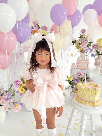 Scarlette Rose Petal Pink Organza Baby Girl Party Romper