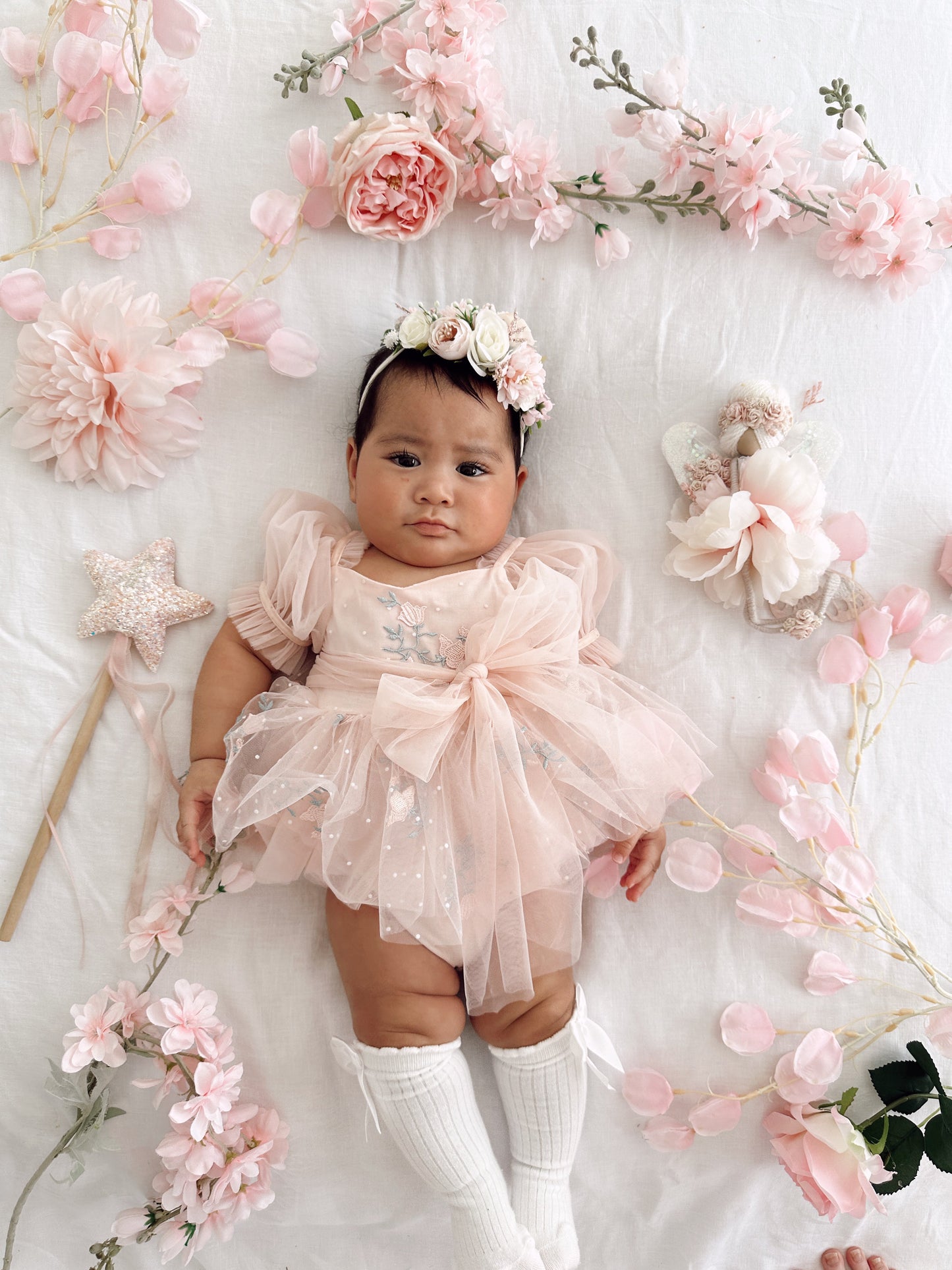 Swan Lake Ballerina Pink Embroidered Baby Girl Tulle Party Romper