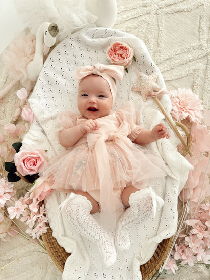 Swan Lake Ballerina Pink Embroidered Baby Girl Tulle Party Romper