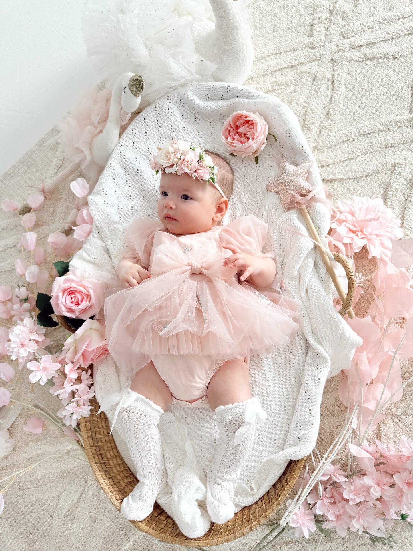 Swan Lake Ballerina Pink Embroidered Baby Girl Tulle Party Romper