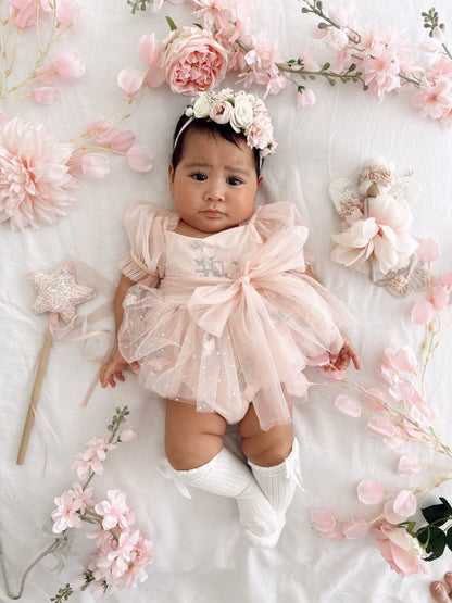 Swan Lake Ballerina Pink Embroidered Baby Girl Tulle Party Romper