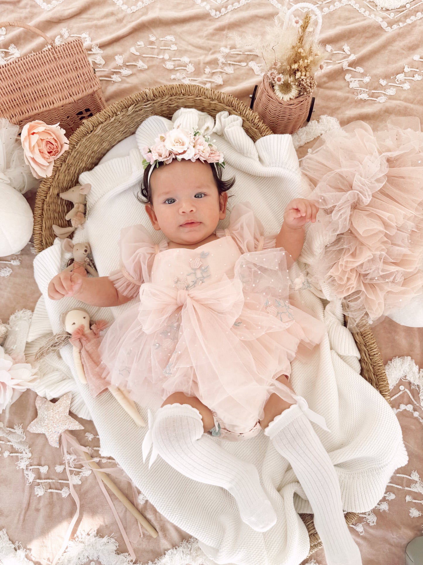 Swan Lake Ballerina Pink Embroidered Baby Girl Tulle Party Romper
