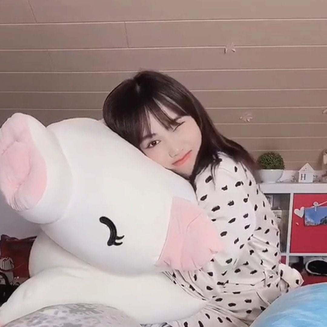 Jeju The Piggy Plushie