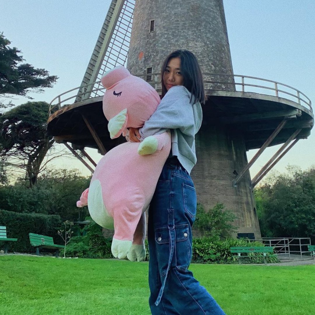 Jeju The Piggy Plushie