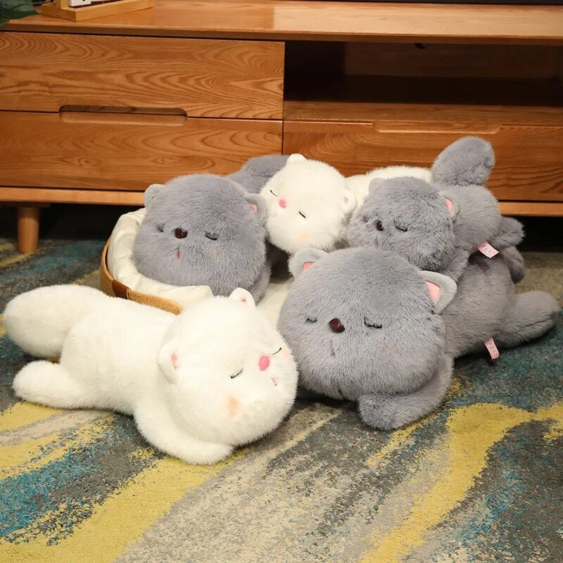 Kawaii Soft Sleeping Cat