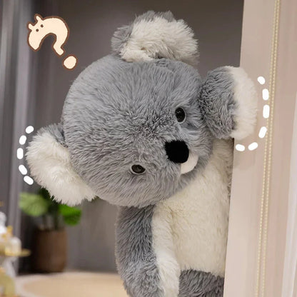 Poko the Giant Koala Plushie