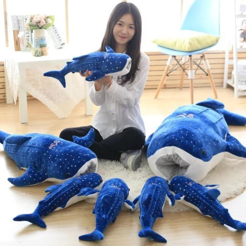 Whale Shark Family