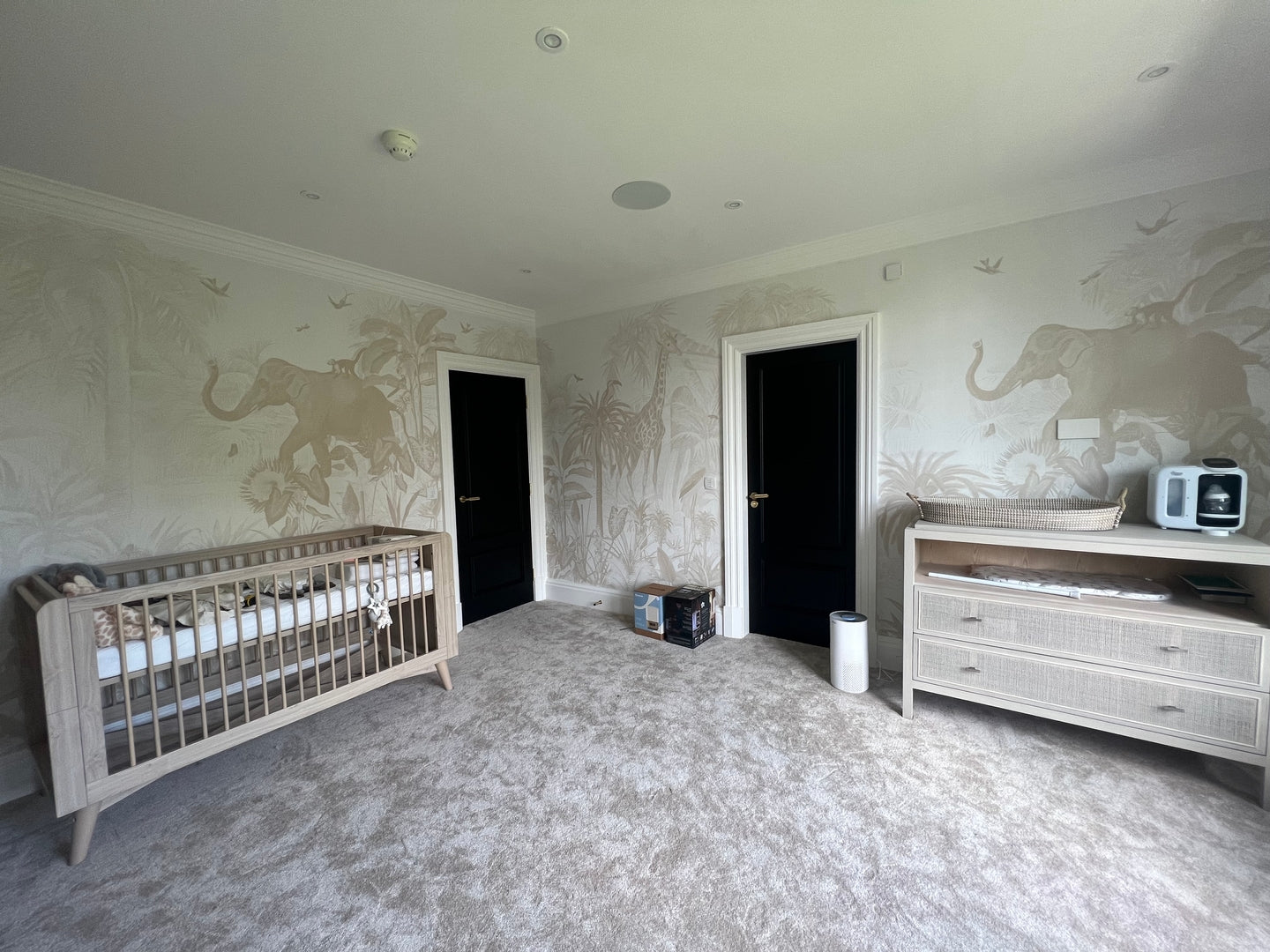 Magic Jungle Mural
